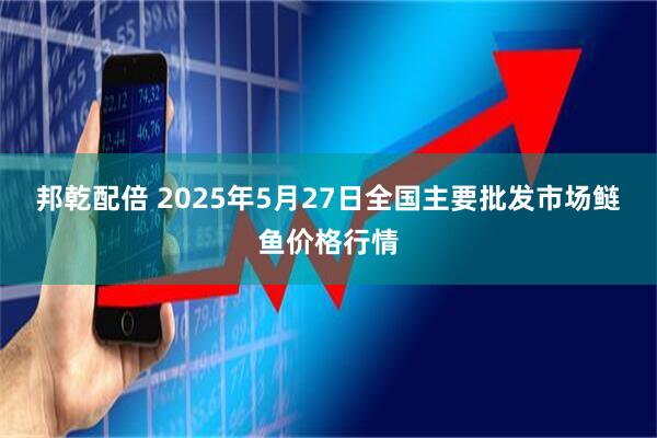 邦乾配倍 2025年5月27日全国主要批发市场鲢鱼价格行情