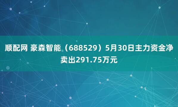 顺配网 豪森智能（688529）5月30日主力资金净卖出291.75万元