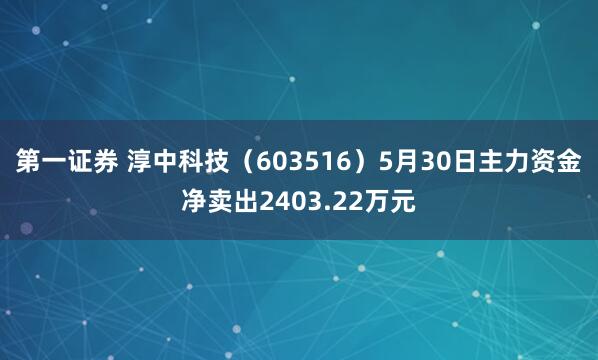 第一证券 淳中科技（603516）5月30日主力资金净卖出2403.22万元
