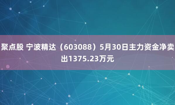 聚点股 宁波精达（603088）5月30日主力资金净卖出1375.23万元