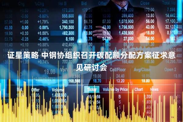 证星策略 中钢协组织召开碳配额分配方案征求意见研讨会