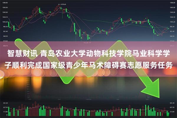 智慧财讯 青岛农业大学动物科技学院马业科学学子顺利完成国家级青少年马术障碍赛志愿服务任务