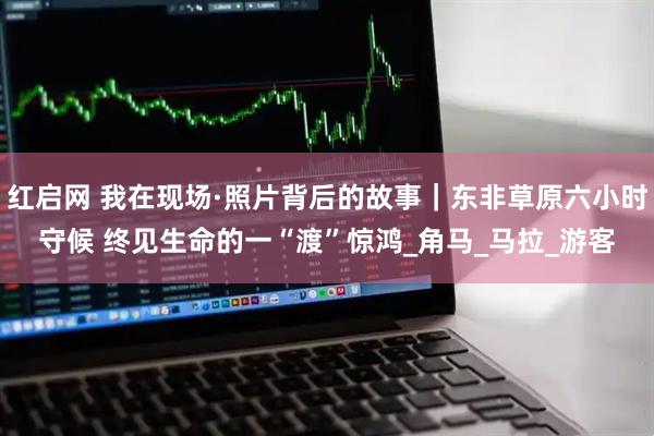 红启网 我在现场·照片背后的故事｜东非草原六小时守候 终见生命的一“渡”惊鸿_角马_马拉_游客