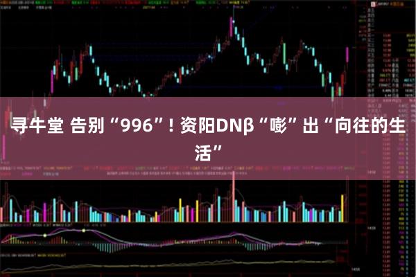 寻牛堂 告别“996”! 资阳DNβ“嘭”出“向往的生活”