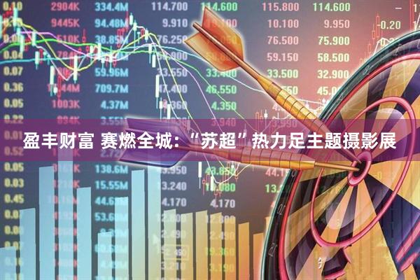 盈丰财富 赛燃全城: “苏超”热力足主题摄影展