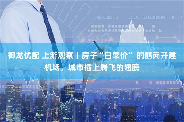 御龙优配 上游观察丨房子“白菜价” 的鹤岗开建机场，城市插上腾飞的翅膀