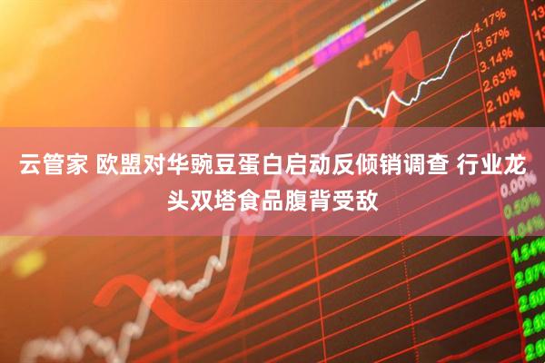 云管家 欧盟对华豌豆蛋白启动反倾销调查 行业龙头双塔食品腹背受敌