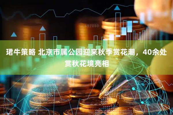 珺牛策略 北京市属公园迎来秋季赏花潮，40余处赏秋花境亮相