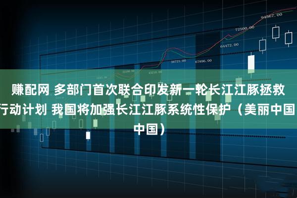 赚配网 多部门首次联合印发新一轮长江江豚拯救行动计划 我国将加强长江江豚系统性保护（美丽中国）