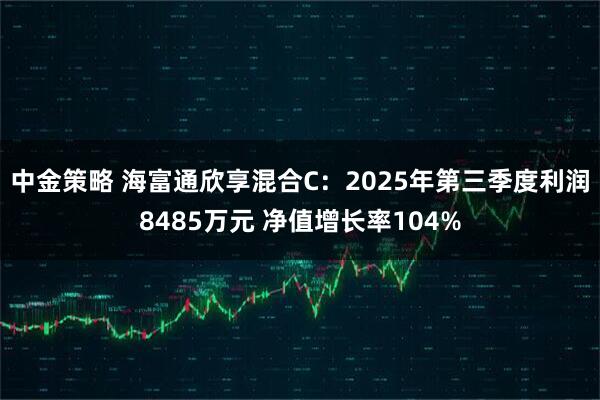 中金策略 海富通欣享混合C：2025年第三季度利润8485万元 净值增长率104%